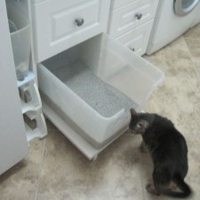Clever Cat Litter Drawer in Laundry Room