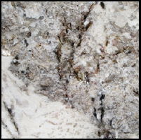 Specialty Granite: Antico Classico