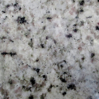 Specialty Granite: Bianco Echador